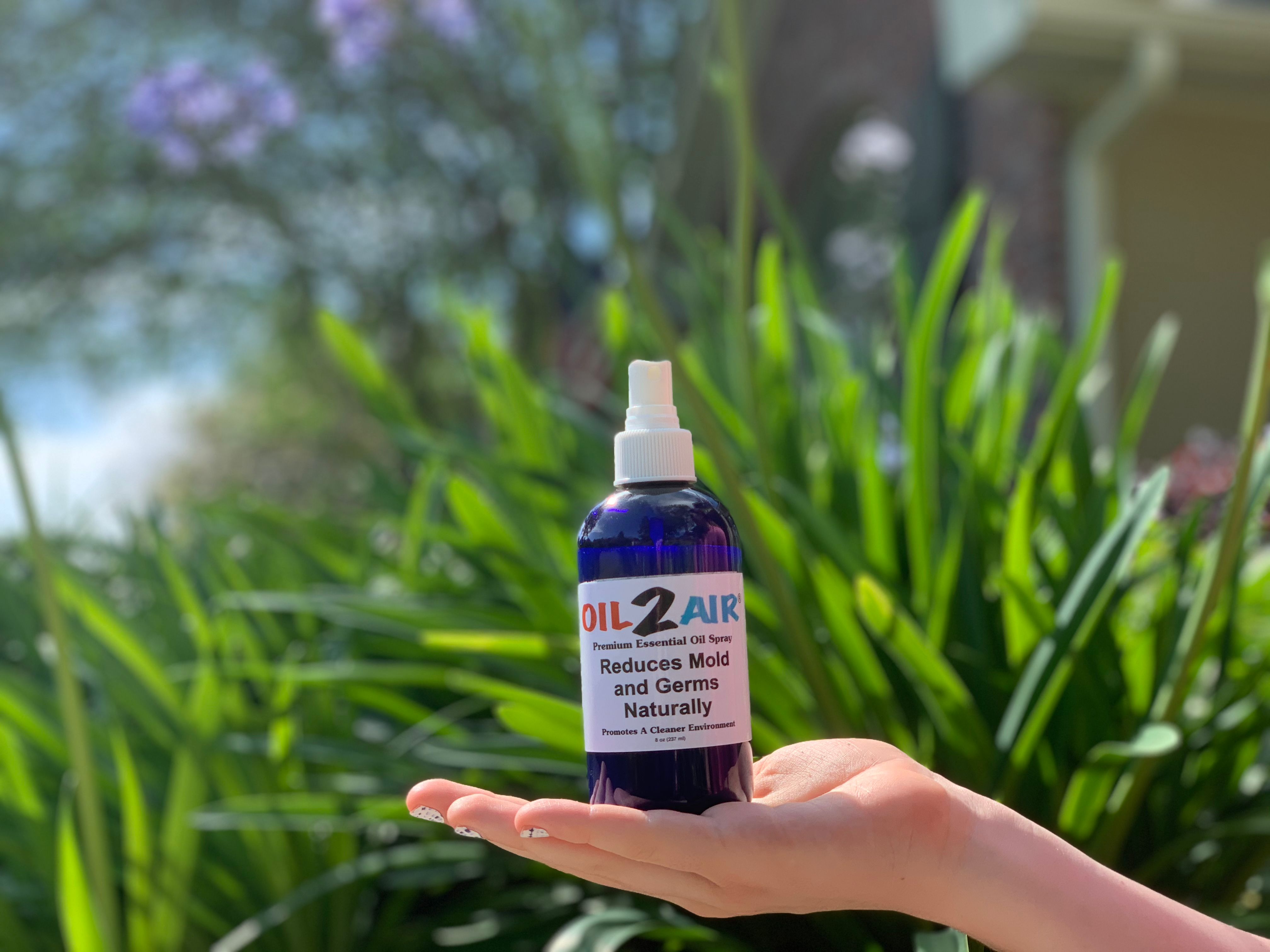 anti-mold spray with essential oils
